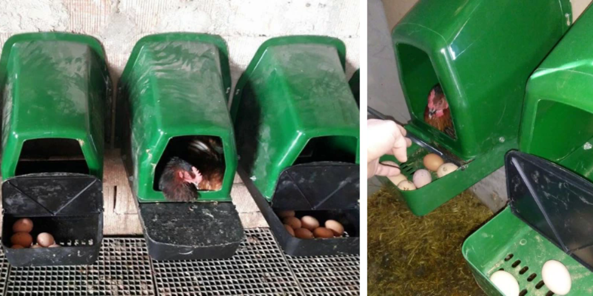 blog-jak-vyrobit-snaskove-hnizdo-2